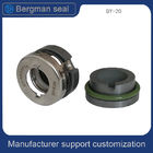 QY 17mm 20mm SSE4 CNP Pump Mechanical Seal SIC Rubber Bellows