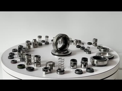 Grundfos GLF-SPK-12mm SPK 2/4 এয়ার কন্ডিশনার পাম্প মেকানিক্যাল সিল প্রতিস্থাপন