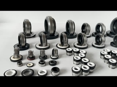 BT AR 301 একক শেষ শুকনো চলমান যান্ত্রিক সীল 12mm 14mm স্টেইনলেস স্টীল স্প্রিং