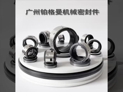 জন ক্রেন 502 ওয়াটার পাম্প ইন্ডাস্ট্রিয়াল পাম্পের জন্য মেকানিক্যাল সিল 100mm