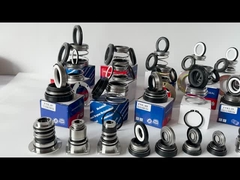 EA560D বার্গম্যান পাম্প মেকানিক্যাল সিল WQ ডুবন্ত ভারসাম্যহীন